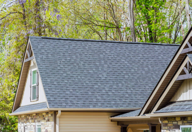 Best Roof Insulation Installation  in Belle, MO